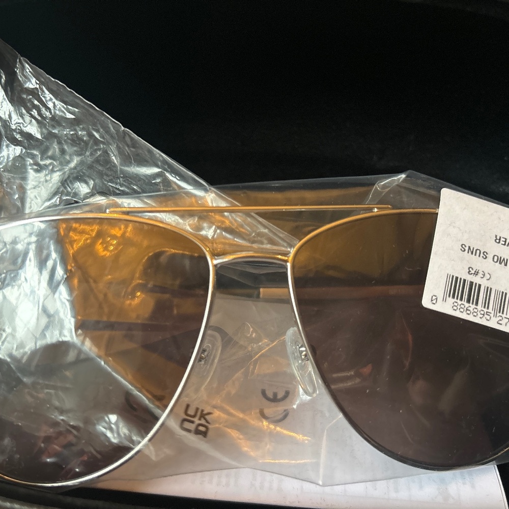 Salvatore Ferragamo Ladies Sunglasses